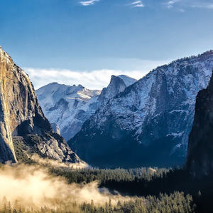 Meet your Posher, Joshua